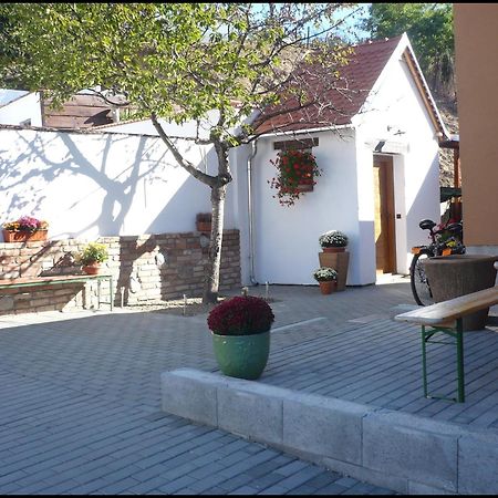 Penzion Reva Valtice Bagian luar foto